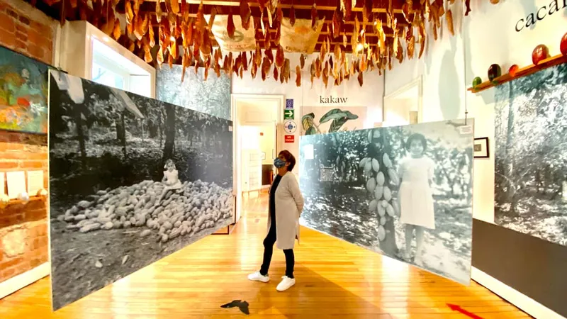 Chocolate-themed interactive room in the MUCHO mansion, a sweet stop among museums in Mexico City, Roma Norte